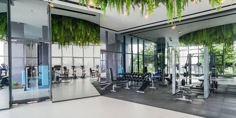 IDEO Sukhumvit Rama 4, bangkok, Soi Sukhumvit 44, Sukhumvit Road, Phra Kanong, Khlong Toei, Bangkok, 1 Bedroom, 30 sqm, Condo For Rent, by Nat Tantirapan, 500555111 - DDproperty.com