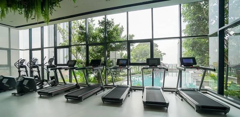 IDEO Sukhumvit Rama 4, bangkok, Soi Sukhumvit 44, Sukhumvit Road, Phra Kanong, Khlong Toei, Bangkok, 1 Bedroom, 30 sqm, Condo For Rent, by Nat Tantirapan, 500555111 - DDproperty.com