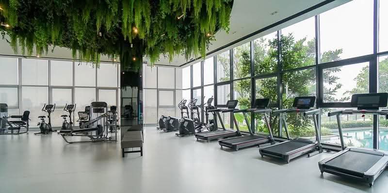 IDEO Sukhumvit Rama 4, bangkok, Soi Sukhumvit 44, Sukhumvit Road, Phra Kanong, Khlong Toei, Bangkok, 1 Bedroom, 30 sqm, Condo For Rent, by Nat Tantirapan, 500555111 - DDproperty.com