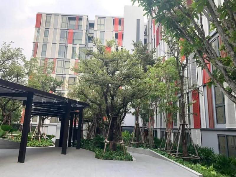 Taka Haus, Bangkok, 99 Soi Ekamai 10, Khlong Tan Nua, Watthana, Bangkok, 1 Bedroom, 30 sqm, Condo For Rent, by Thanyalak Ajmera, 500555151 - DDproperty.com