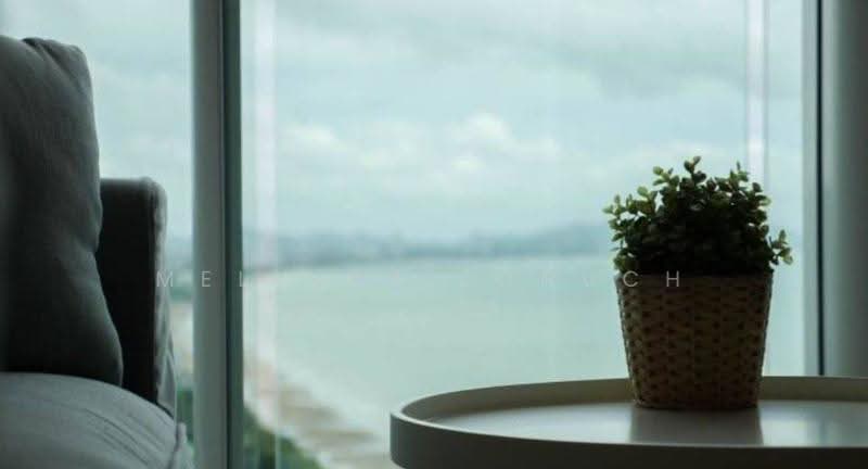 Cetus Beachfront : ซีตัส บีชฟรอนท์, ชลบุรี, หมู่ที่ 12 422 Jomtiensaineung Rd, นาเกลือ, บางละมุง, ชลบุรี, 39 ตร.ม., คอนโด ขาย, โดย Melinda Lonuch, 500555314 - DDproperty.com