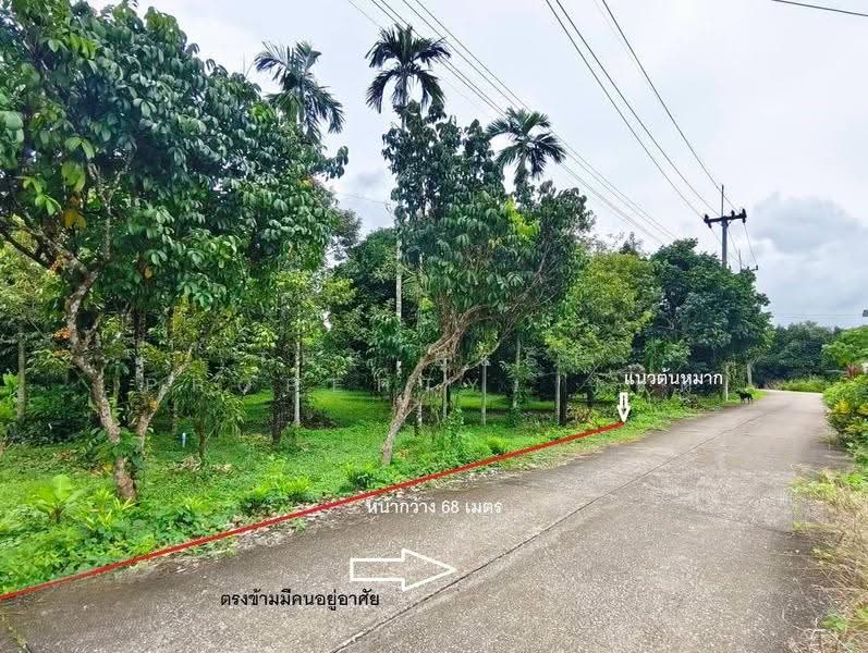 ที่ดินมะขาม จันทบุรี, จันทบุรี, มะขาม, จันทบุรี, 3,128 ตร.ม., ที่ดิน ขาย, โดย The Best Property โชติ, 500555384 - DDproperty.com