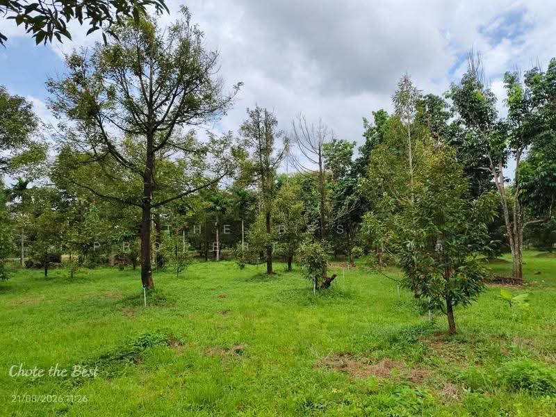 ที่ดินมะขาม จันทบุรี, จันทบุรี, มะขาม, จันทบุรี, 3,128 ตร.ม., ที่ดิน ขาย, โดย The Best Property โชติ, 500555384 - DDproperty.com