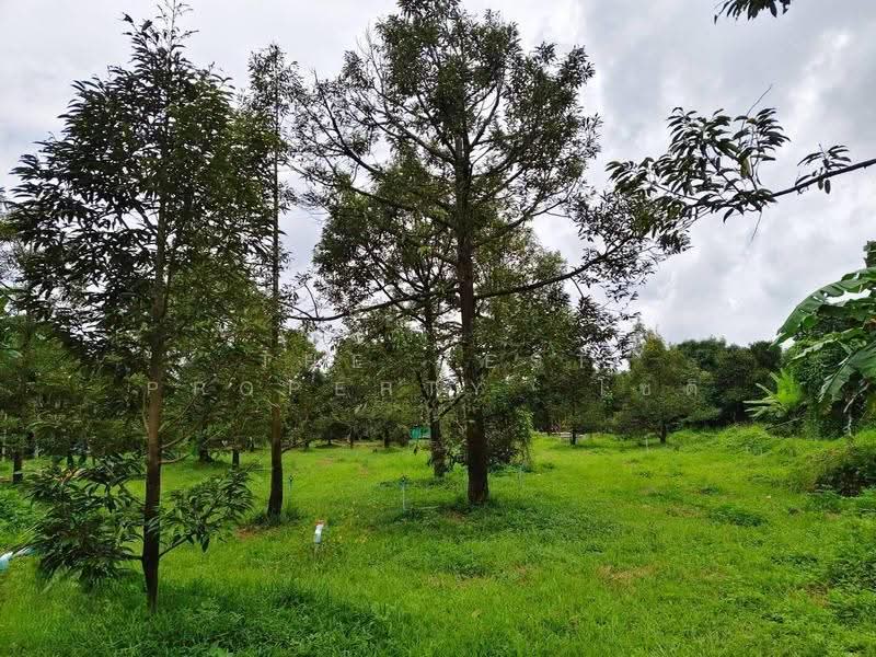 ที่ดินมะขาม จันทบุรี, จันทบุรี, มะขาม, จันทบุรี, 3,128 ตร.ม., ที่ดิน ขาย, โดย The Best Property โชติ, 500555384 - DDproperty.com
