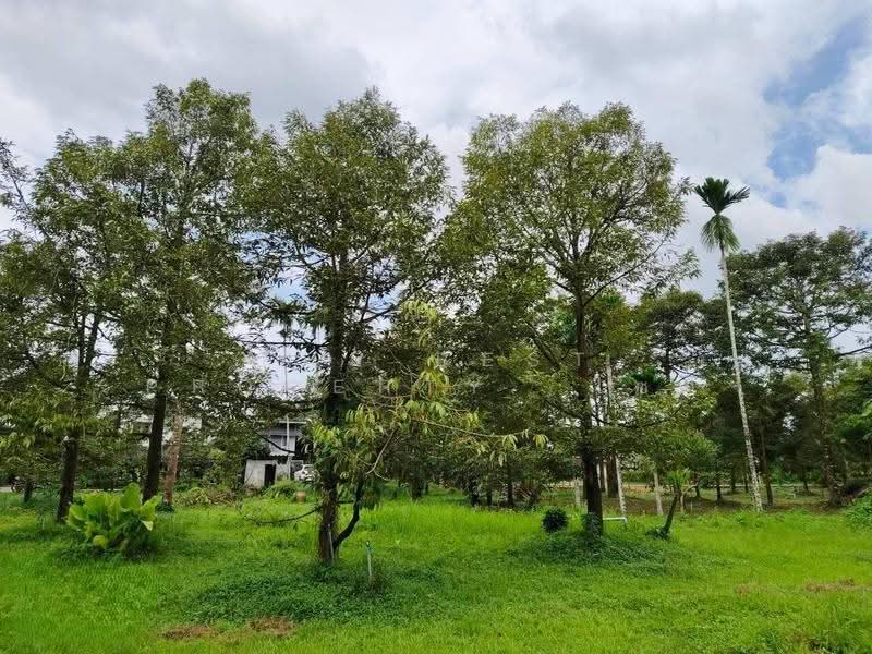 ที่ดินมะขาม จันทบุรี, จันทบุรี, มะขาม, จันทบุรี, 3,128 ตร.ม., ที่ดิน ขาย, โดย The Best Property โชติ, 500555384 - DDproperty.com