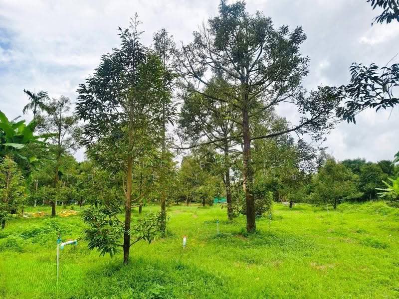 ที่ดินมะขาม จันทบุรี, Chanthaburi, Makham, Chanthaburi, , 3,128 sqm, Land For Sale, by The Best Property  โชติ, 500555384 - DDproperty.com