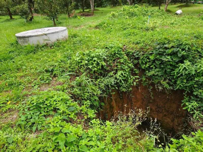 ที่ดินมะขาม จันทบุรี, Chanthaburi, Makham, Chanthaburi, , 3,128 sqm, Land For Sale, by The Best Property  โชติ, 500555384 - DDproperty.com