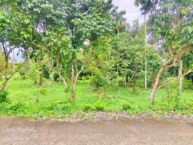 ที่ดินมะขาม จันทบุรี, จันทบุรี, มะขาม, จันทบุรี, 3,128 ตร.ม., ที่ดิน ขาย, โดย The Best Property โชติ, 500555384 - DDproperty.com