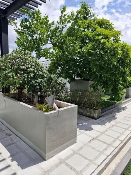 The Ace Ekamai, Bangkok, Soi Pridi Banomyong 31, Khlong Tan Nua, Watthana, Bangkok, 1 Bedroom, 32 sqm, Condo For Sale, by Dechatorn Chichaiyang, 500555492 - DDproperty.com