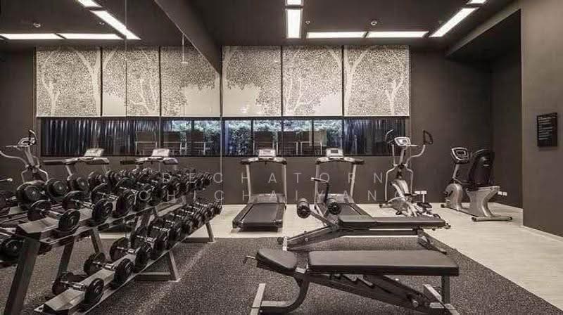 Noble Reveal, Bangkok, 36 Soi Sukhumvit 63, Ekamai Road, Phra Kanong Nua, Watthana, Bangkok, 1 Bedroom, 47 sqm, Condo For Rent, by Dechatorn Chichaiyang, 500555513 - DDproperty.com
