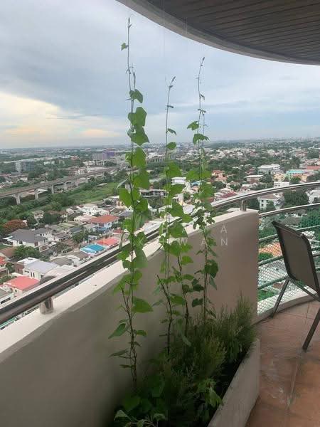 Floraville Condominium, Bangkok, 51 Pattanakarn, Suan Luang, Suan Luang, Bangkok, 2 Bedrooms, 160 sqm, Condo For Rent, by Natthaya Ninkhwan, 500555604 - DDproperty.com