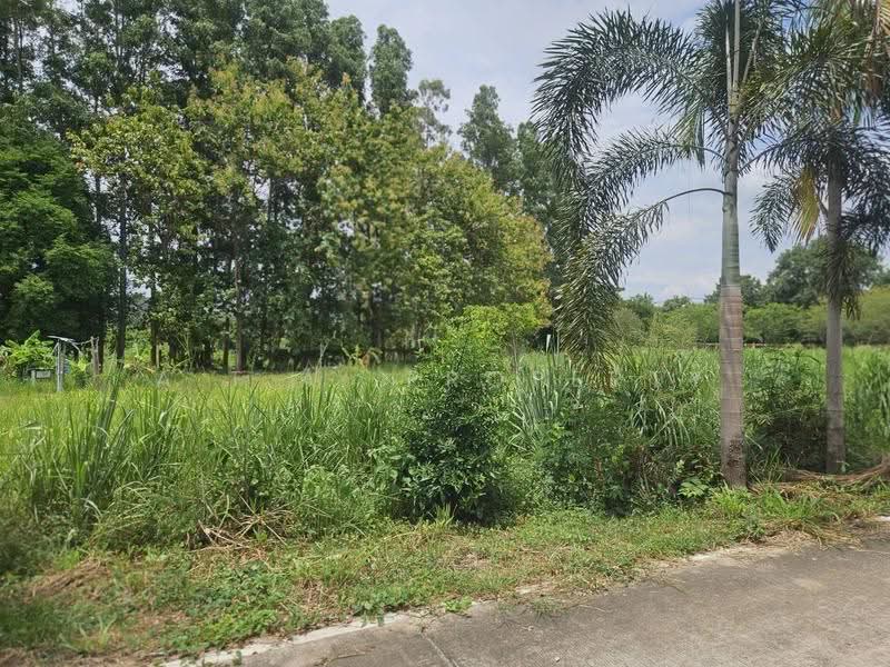ที่ดินทำเลดี ติดขอบอ่างบางพระ ศรีราชา, Chon Buri (Pattaya), Bang Phra, Si Racha, Chon Buri (Pattaya), , 6,400 sqm, Land For Sale, by A.T.A. Property, 500555812 - DDproperty.com