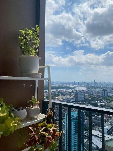 Oka Haus Sukhumvit 36 : โอกะ เฮ้าส์ สุขุมวิท 36, กรุงเทพ, 3399 ถนนพระรามที่ ๔, คลองตัน, คลองเตย, กรุงเทพ, 27 ตร.ม., คอนโด ให้เช่า, โดย Nat Tantirapan, 500555835 - DDproperty.com