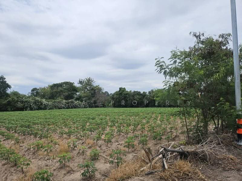 ที่ดินสวย ขอบอ่างบางพระ ทำเลน่าลงทุน, Chon Buri (Pattaya), Bang Phra, Si Racha, Chon Buri (Pattaya), , 15,200 sqm, Land For Sale, by A.T.A. Property, 500555856 - DDproperty.com