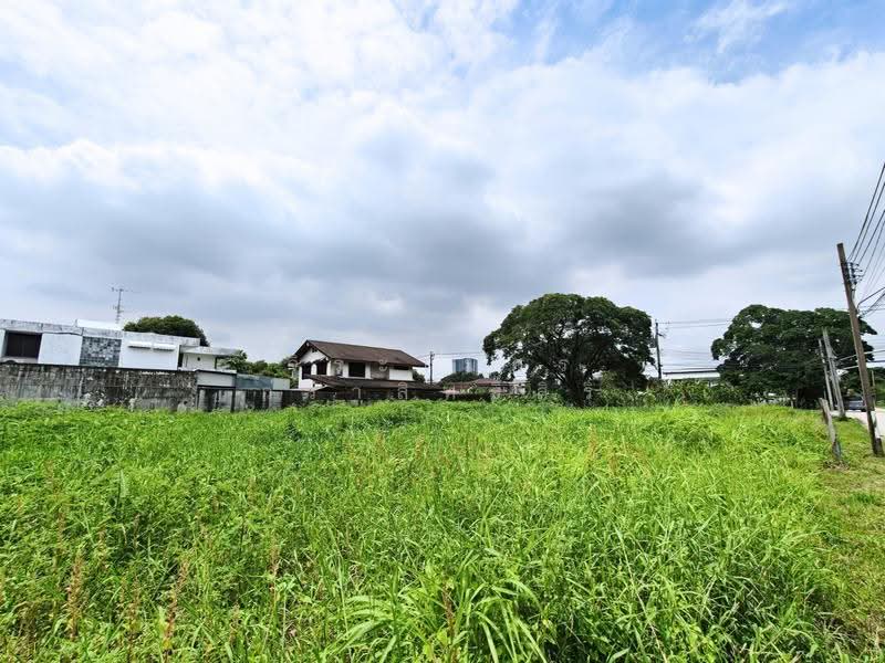 เอื้อสุข, Bangkok, พัฒนาการ58, Suan Luang, Bangkok, , 800 sqm, Land For Sale, by จิระเมศร์ วราสิทธิ์สิริ, 500555881 - DDproperty.com