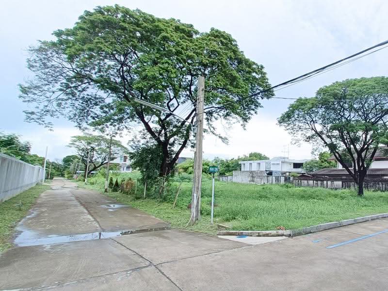 เอื้อสุข, Bangkok, พัฒนาการ58, Suan Luang, Bangkok, , 800 sqm, Land For Sale, by จิระเมศร์ วราสิทธิ์สิริ, 500555881 - DDproperty.com