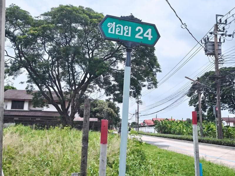 เอื้อสุข, กรุงเทพ, พัฒนาการ58, สวนหลวง, กรุงเทพ, 800 ตร.ม., ที่ดิน ขาย, โดย จิระเมศร์ วราสิทธิ์สิริ, 500555881 - DDproperty.com