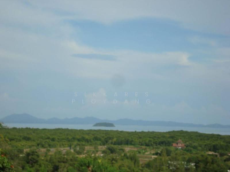 วิลล่า 5-ห้องนอน, ภูเก็ต, รัษฎา, เมืองภูเก็ต, ภูเก็ต, 650 ตร.ม., วิลล่า ขาย, โดย Sikkares Ploydang, 500556093 - DDproperty.com