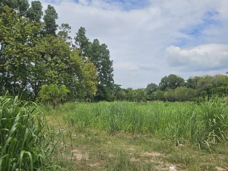 Land for sale adjacent to Bang Phra Reservoir, Si Racha; great atmosphere, Chon Buri (Pattaya), Bang Phra, Si Racha, Chon Buri (Pattaya), , 6,400 sqm, Land For Sale, by A House Property Co.,Ltd., 500556122 - DDproperty.com