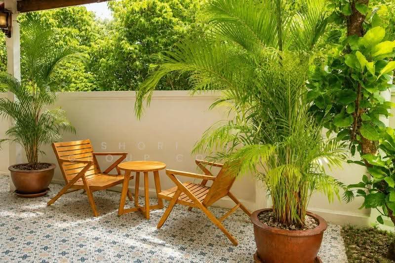 House in the Chang Phueak area, Chiang Mai, Chang Phuak, Muang Chiang Mai, Chiang Mai, 4 Bedrooms, 180 sqm, Single Detached House For Rent, by Shori Asset Group Co., Ltd., 500556270 - DDproperty.com