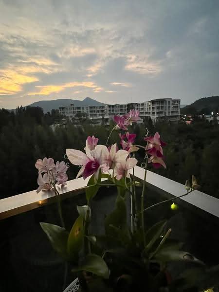 Baan View Viman, Prachuap Khiri Khan, 85 Hua Soi Hua Don 8, Nong Kae, Hua Hin, Prachuap Khiri Khan, 1 Bedroom, 44 sqm, Condo For Sale, by Chutima Saenieo, 500556423 - DDproperty.com