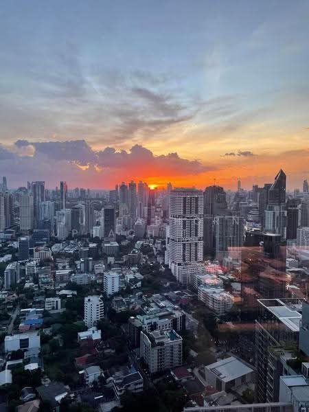 The Esse Sukhumvit 36, Bangkok, Soi Sukhumvit 36, Sukhumvit Road, Phra Kanong, Khlong Toei, Bangkok, 1 Bedroom, 42 sqm, Condo For Rent, by Juthabhorn Uppachit (Amy), 500556482 - DDproperty.com