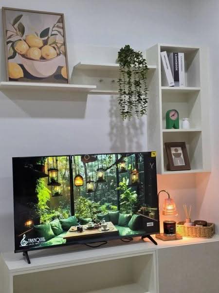 The Base Uptown, Phuket, 155 Chalerm Phrakiat Rama 9 Road, Ratsada, Muang Phuket, Phuket, 1 Bedroom, 34 sqm, Condo For Sale, by Connex Property, 500556562 - DDproperty.com