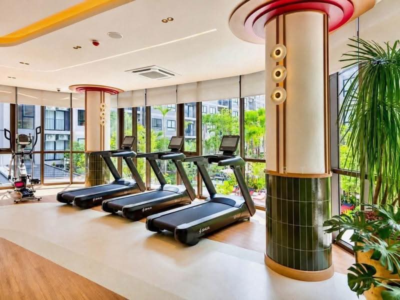 THE Base Cherngtalay, Phuket, Choeng Thale, Thalang, Phuket, 2 Bedrooms, 63 sqm, Condo For Sale, by Connex Property, 500556576 - DDproperty.com