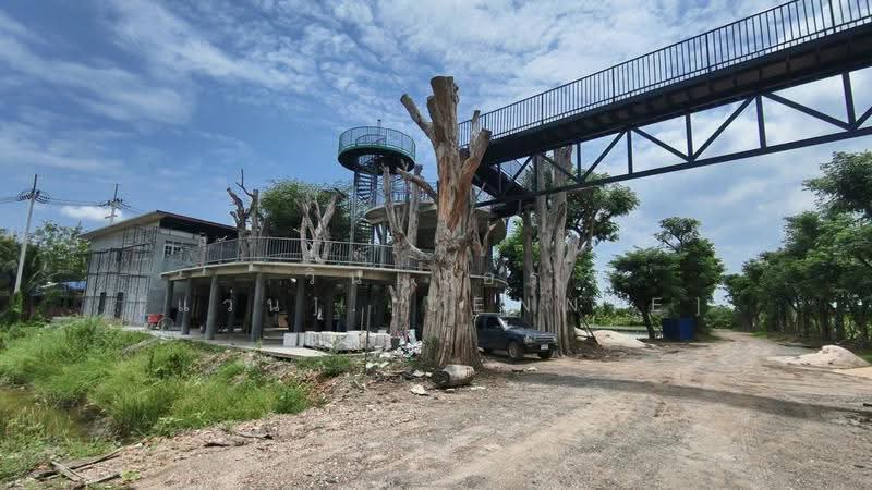 ขายที่ดิน 6-3-45 ไร่ บางตลาด คลองเขื่อน ฉะเชิงเทรา อยู่หน้าสวนปาล์มฟาร์มนก ติดถนนสายหลัก, Chachoengsao, ถนนบางตลาด–สวนปาล์ม, Bang Talat, Khlong Khuan, Chachoengsao, , 10,976 sqm, Land For Sale, by วินเนอร์ [แว่น].[Jennie], 500556734 - DDproperty.com