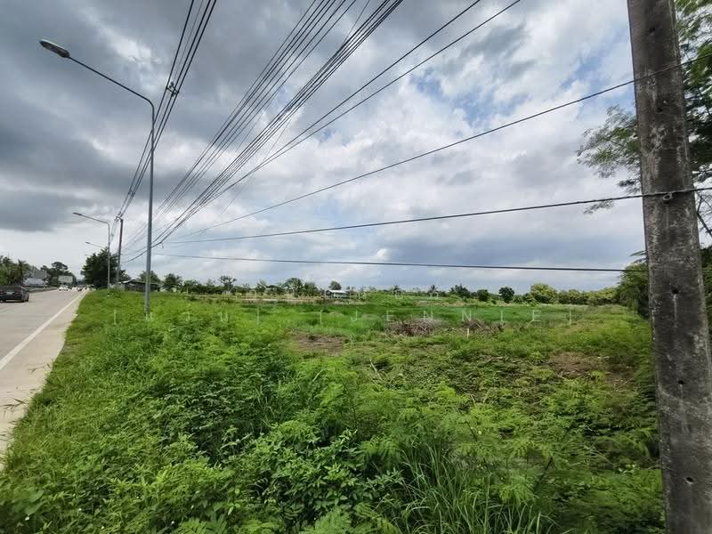 ขายที่ดิน 6-3-45 ไร่ บางตลาด คลองเขื่อน ฉะเชิงเทรา อยู่หน้าสวนปาล์มฟาร์มนก ติดถนนสายหลัก, Chachoengsao, ถนนบางตลาด–สวนปาล์ม, Bang Talat, Khlong Khuan, Chachoengsao, , 10,976 sqm, Land For Sale, by วินเนอร์ [แว่น].[Jennie], 500556734 - DDproperty.com