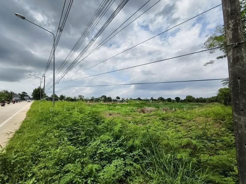 ขายที่ดิน 6-3-45 ไร่ บางตลาด คลองเขื่อน ฉะเชิงเทรา อยู่หน้าสวนปาล์มฟาร์มนก ติดถนนสายหลัก, ฉะเชิงเทรา, ถนนบางตลาด–สวนปาล์ม, บางตลาด, คลองเขื่อน, ฉะเชิงเทรา, 10,976 ตร.ม., ที่ดิน ขาย, โดย วินเนอร์ [แว่น].[Jennie], 500556734 - DDproperty.com