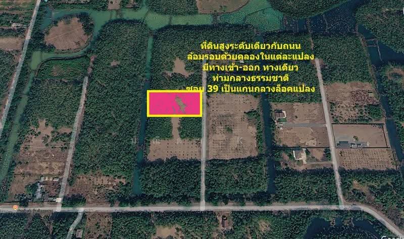 Country Garden Khlong Sam Khlong Luang Pathum Thani 12120, Pathum Thani, Khlong Sam, Khlong Luang, Pathum Thani, , 3,224 sqm, Land For Sale, by มณิตา K., 500556812 - DDproperty.com