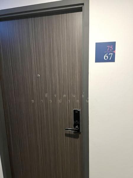 Dolce Lasalle Bang na, Bangkok, Soi Lasalle 7, Bang Na, Bangkok, 1 Bedroom, 31 sqm, Condo For Rent, by ธีรดนย์ ชาวปากน้ำ, 500556835 - DDproperty.com
