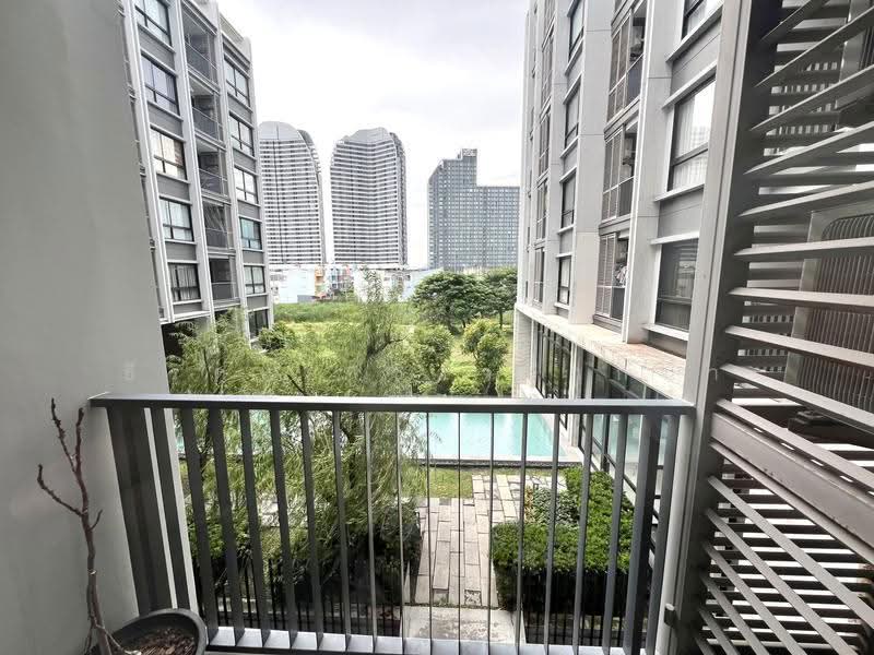 Dolce Lasalle Bang na, Bangkok, Soi Lasalle 7, Bang Na, Bangkok, 1 Bedroom, 31 sqm, Condo For Rent, by ธีรดนย์ ชาวปากน้ำ, 500556835 - DDproperty.com