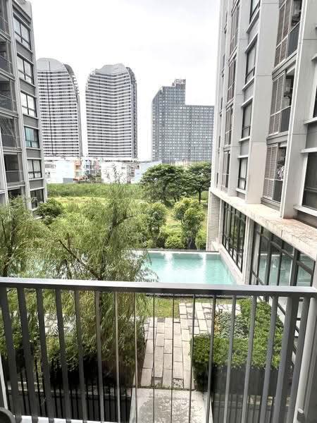 Dolce Lasalle Bang na, Bangkok, Soi Lasalle 7, Bang Na, Bangkok, 1 Bedroom, 31 sqm, Condo For Rent, by ธีรดนย์ ชาวปากน้ำ, 500556835 - DDproperty.com