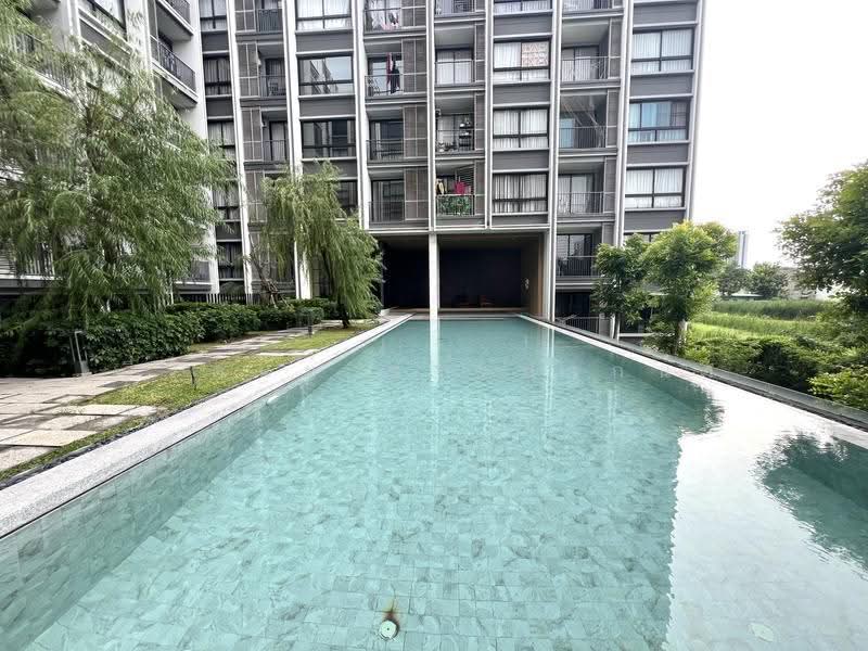 Dolce Lasalle Bang na, Bangkok, Soi Lasalle 7, Bang Na, Bangkok, 1 Bedroom, 31 sqm, Condo For Rent, by ธีรดนย์ ชาวปากน้ำ, 500556835 - DDproperty.com