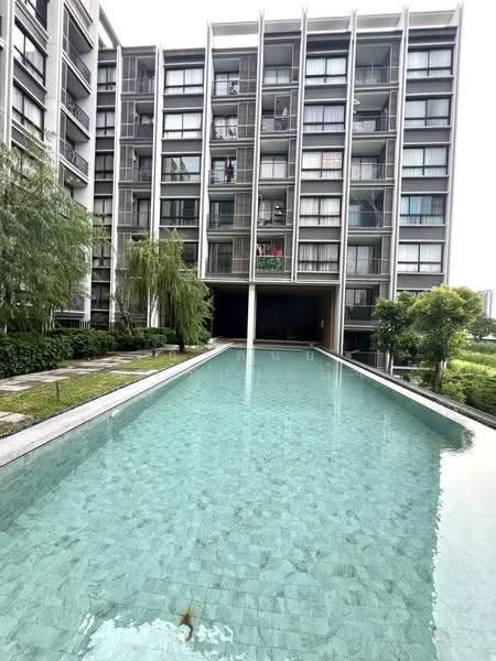 Dolce Lasalle Bang na : โดว์เช่ ลาซาล บางนา, กรุงเทพ, ซอยลาซาล 7, บางนา, กรุงเทพ, 31 ตร.ม., คอนโด ให้เช่า, โดย ธีรดนย์ ชาวปากน้ำ, 500556835 - DDproperty.com