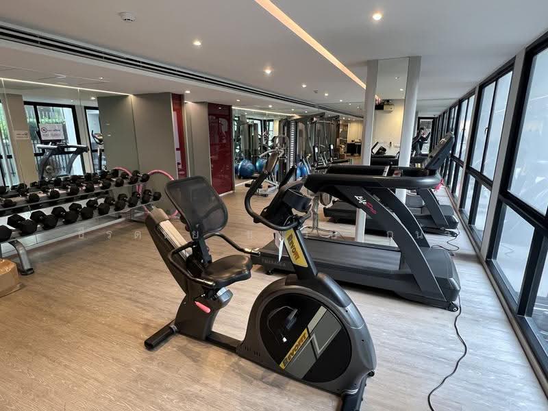 Dolce Lasalle Bang na, Bangkok, Soi Lasalle 7, Bang Na, Bangkok, 1 Bedroom, 31 sqm, Condo For Rent, by ธีรดนย์ ชาวปากน้ำ, 500556835 - DDproperty.com