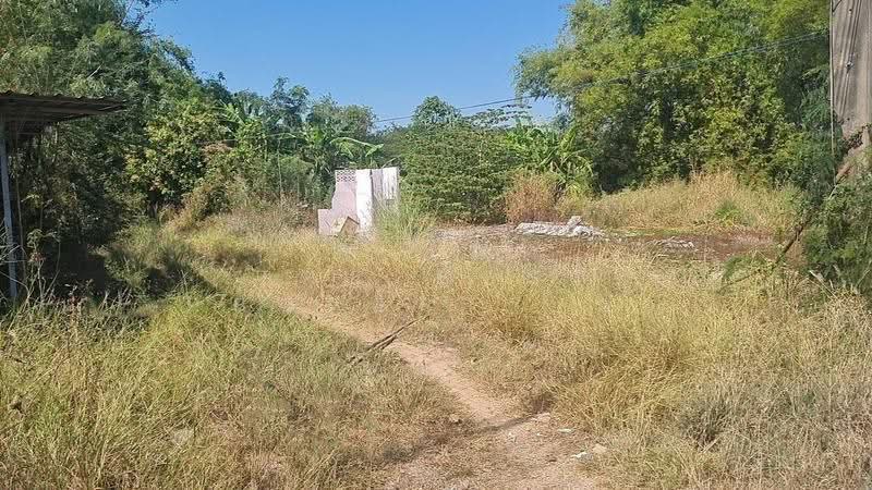 ที่ดินบ้านสร้าง ปราจีนบุรี, Prachin Buri, Bang Toei, Ban Sang, Prachin Buri, , 2,184 sqm, Land For Sale, by The Best Property นก, 500556868 - DDproperty.com