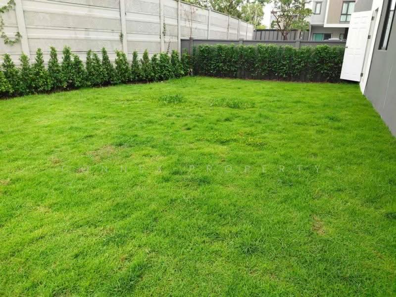 Pleno Ratchapruek - Sathorn, Nonthaburi, Bang Khanun, Bang Kruai, Nonthaburi, 3 Bedrooms, 105 sqm, Townhouse For Sale, by Connex Property, 500556891 - DDproperty.com