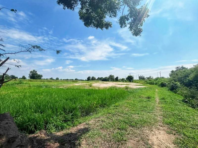 ที่ดินเนินแจง อุทัยธานี, อุทัยธานี, เนินแจง, เมืองอุทัยธานี, อุทัยธานี, 9,600 ตร.ม., ที่ดิน ขาย, โดย The Best Property แอ้, 500556976 - DDproperty.com