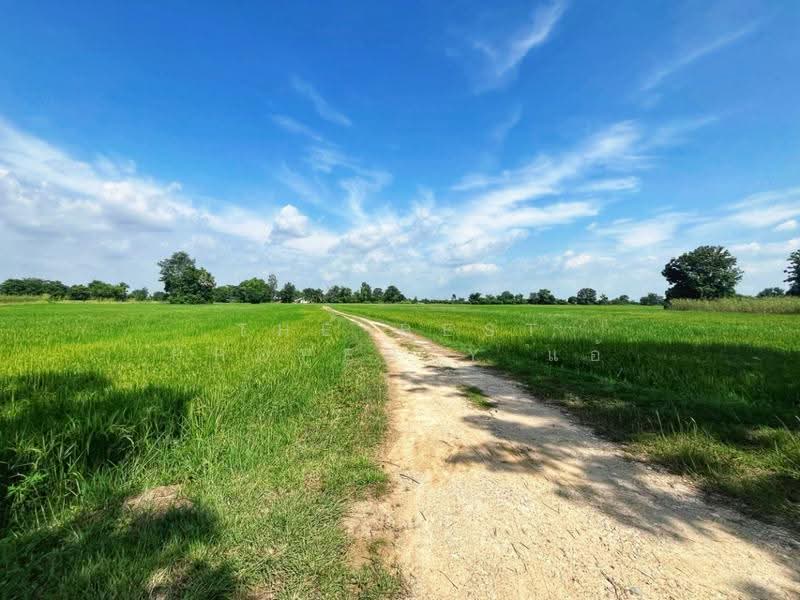 ที่ดินเนินแจง อุทัยธานี, Uthai Thani, Noen Chaeng, Muang Uthai Thani, Uthai Thani, , 9,600 sqm, Land For Sale, by The Best Property แอ้, 500556976 - DDproperty.com