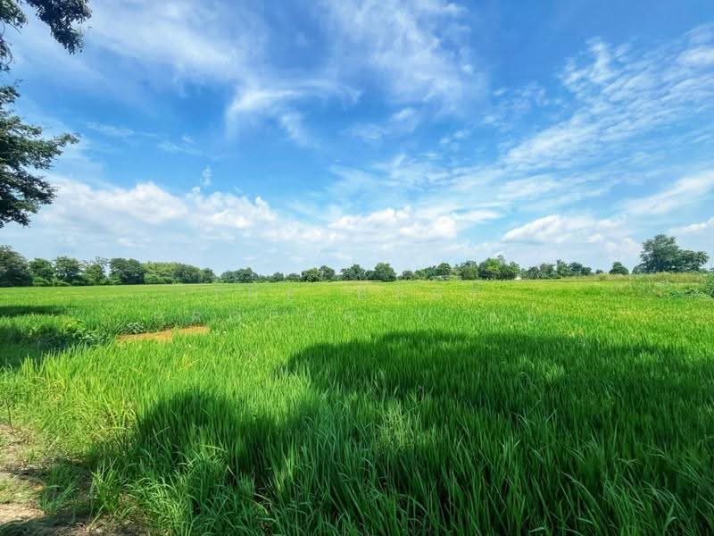 ที่ดินเนินแจง อุทัยธานี, Uthai Thani, Noen Chaeng, Muang Uthai Thani, Uthai Thani, , 9,600 sqm, Land For Sale, by The Best Property แอ้, 500556976 - DDproperty.com