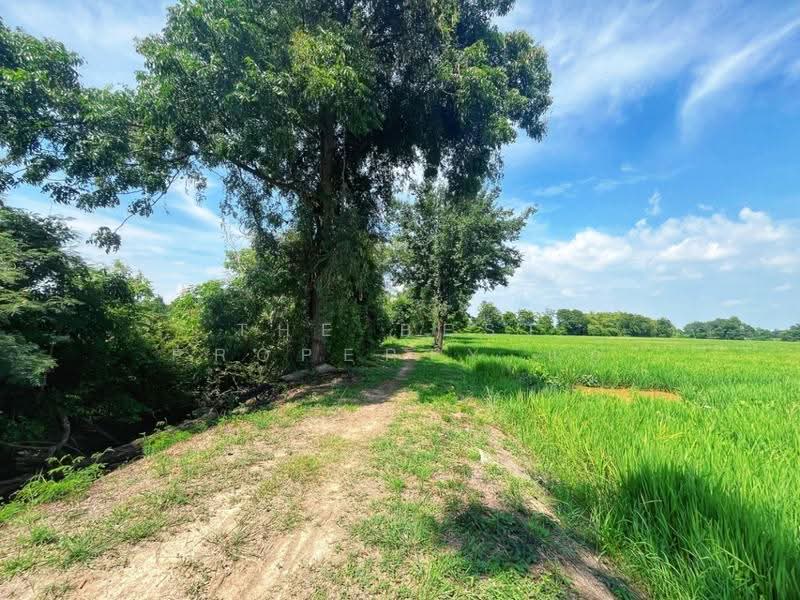 ที่ดินเนินแจง อุทัยธานี, Uthai Thani, Noen Chaeng, Muang Uthai Thani, Uthai Thani, , 9,600 sqm, Land For Sale, by The Best Property แอ้, 500556976 - DDproperty.com