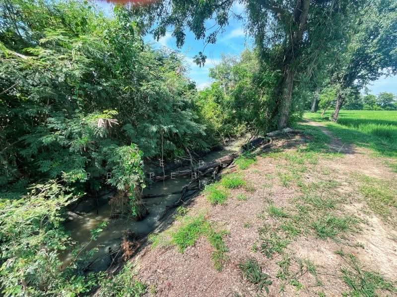 ที่ดินเนินแจง อุทัยธานี, Uthai Thani, Noen Chaeng, Muang Uthai Thani, Uthai Thani, , 9,600 sqm, Land For Sale, by The Best Property แอ้, 500556976 - DDproperty.com