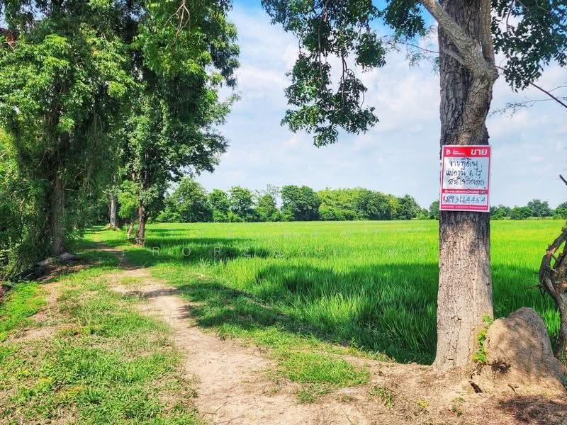 ที่ดินเนินแจง อุทัยธานี, Uthai Thani, Noen Chaeng, Muang Uthai Thani, Uthai Thani, , 9,600 sqm, Land For Sale, by The Best Property แอ้, 500556976 - DDproperty.com