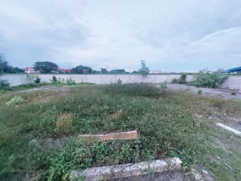 ที่ดินนาดี สมุทรสาคร, สมุทรสาคร, นาดี, เมืองสมุทรสาคร, สมุทรสาคร, 800 ตร.ม., ที่ดิน ขาย, โดย The Best Property กวาง, 500556990 - DDproperty.com