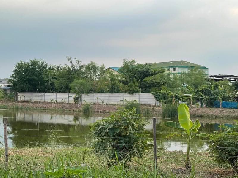 ที่ดินนาดี สมุทรสาคร, สมุทรสาคร, นาดี, เมืองสมุทรสาคร, สมุทรสาคร, 800 ตร.ม., ที่ดิน ขาย, โดย The Best Property กวาง, 500556990 - DDproperty.com