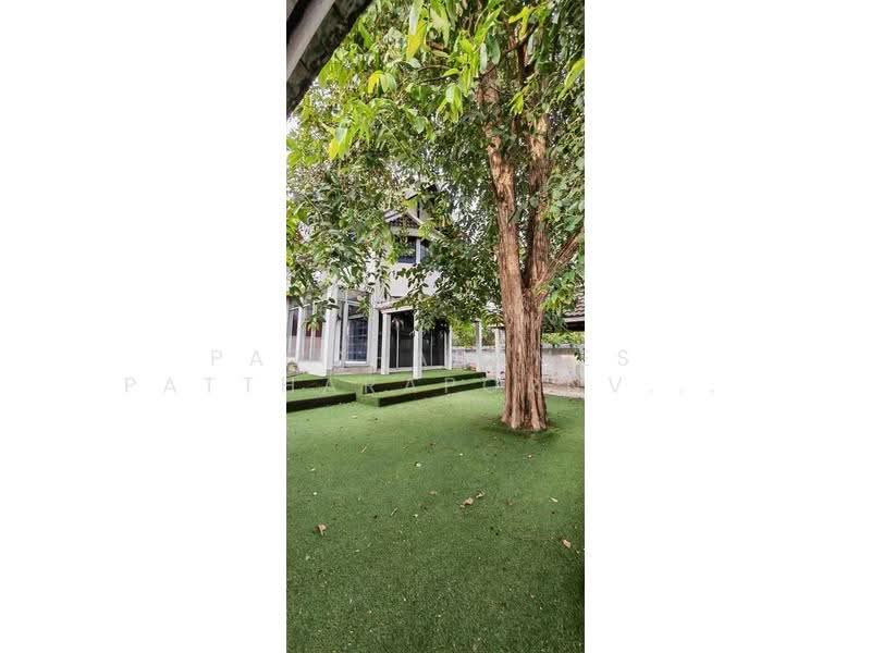 5-BR House, Bangkok, Lat Yao, Chatuchak, Bangkok, 5 Bedrooms, 495 sqm, Single Detached House For Rent, by Patcharames Pattharapornviboon, 500557001 - DDproperty.com