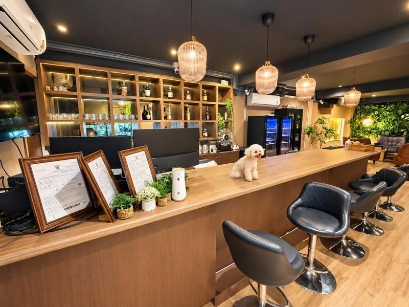 One Bar Lounge, กรุงเทพ, คลองตันเหนือ, วัฒนา, กรุงเทพ, 150 ตร.ม., กิจการ ขาย, โดย Yusuke Sato, 500557023 - DDproperty.com